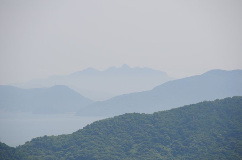 425.jpg