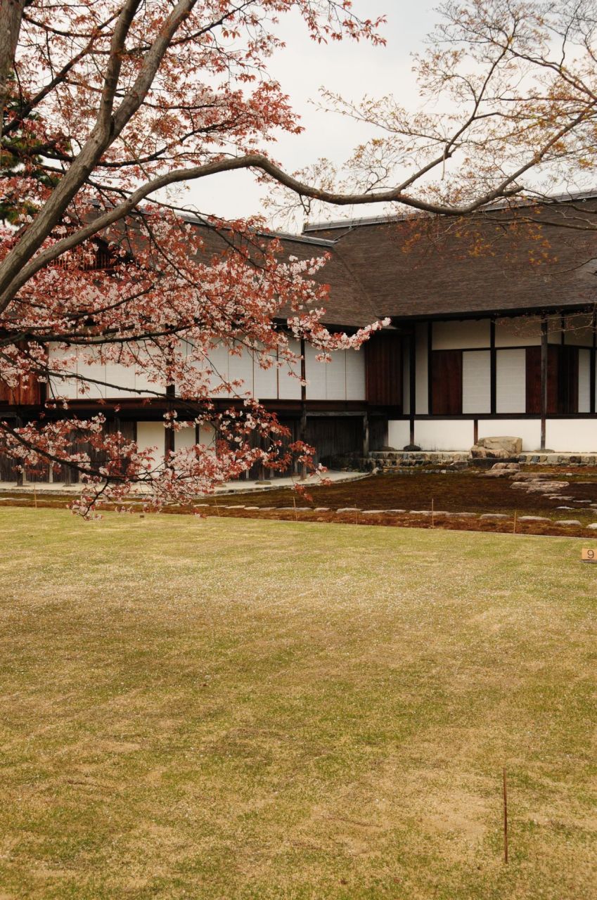 196.jpg