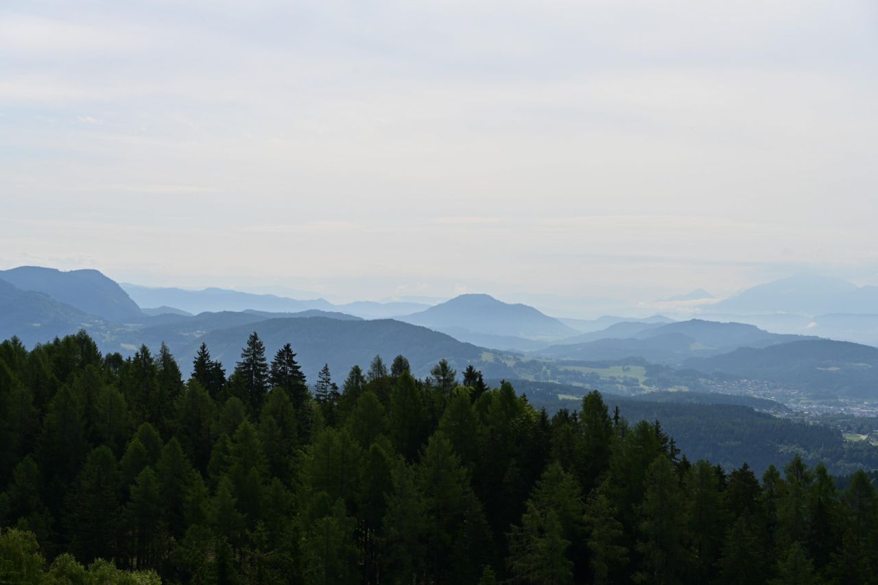 22325.jpg
