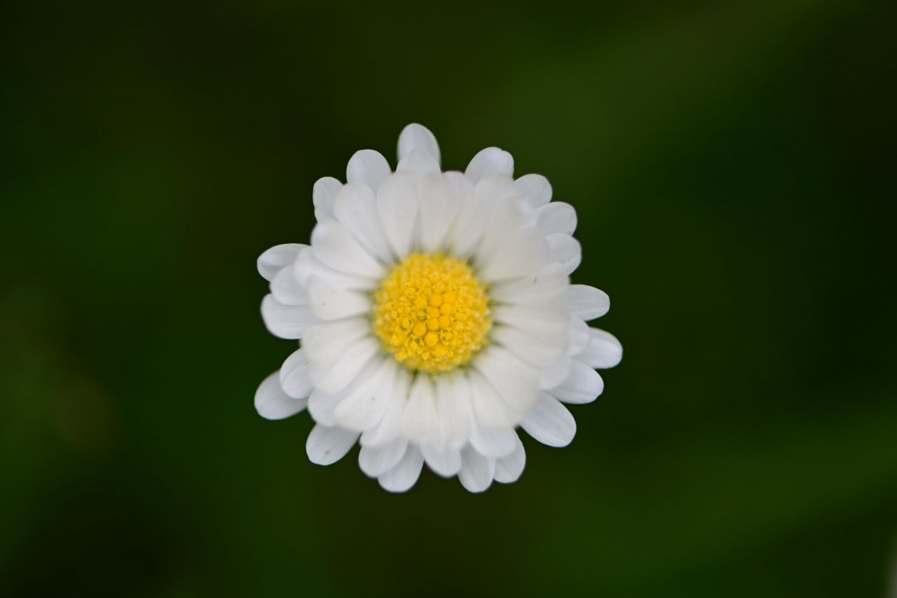 22924.jpg