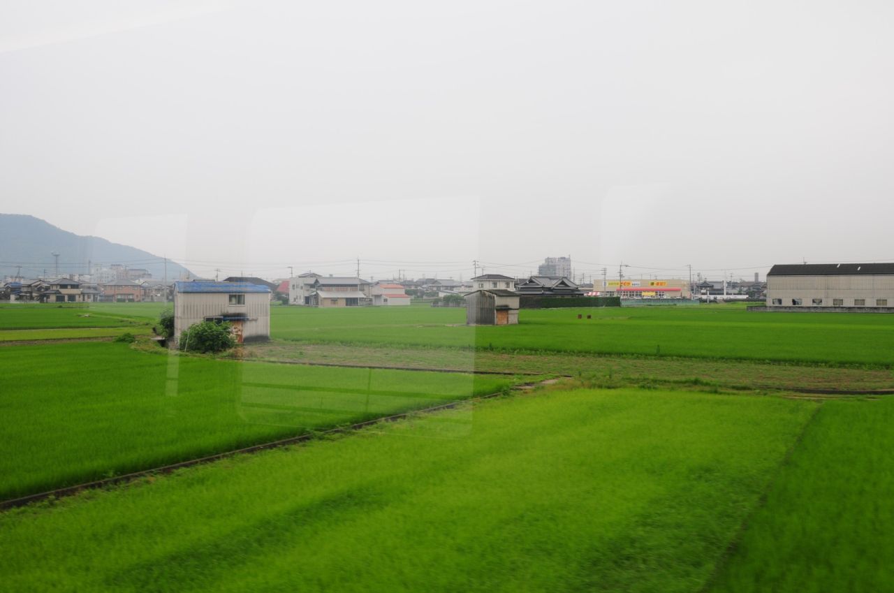 403.jpg