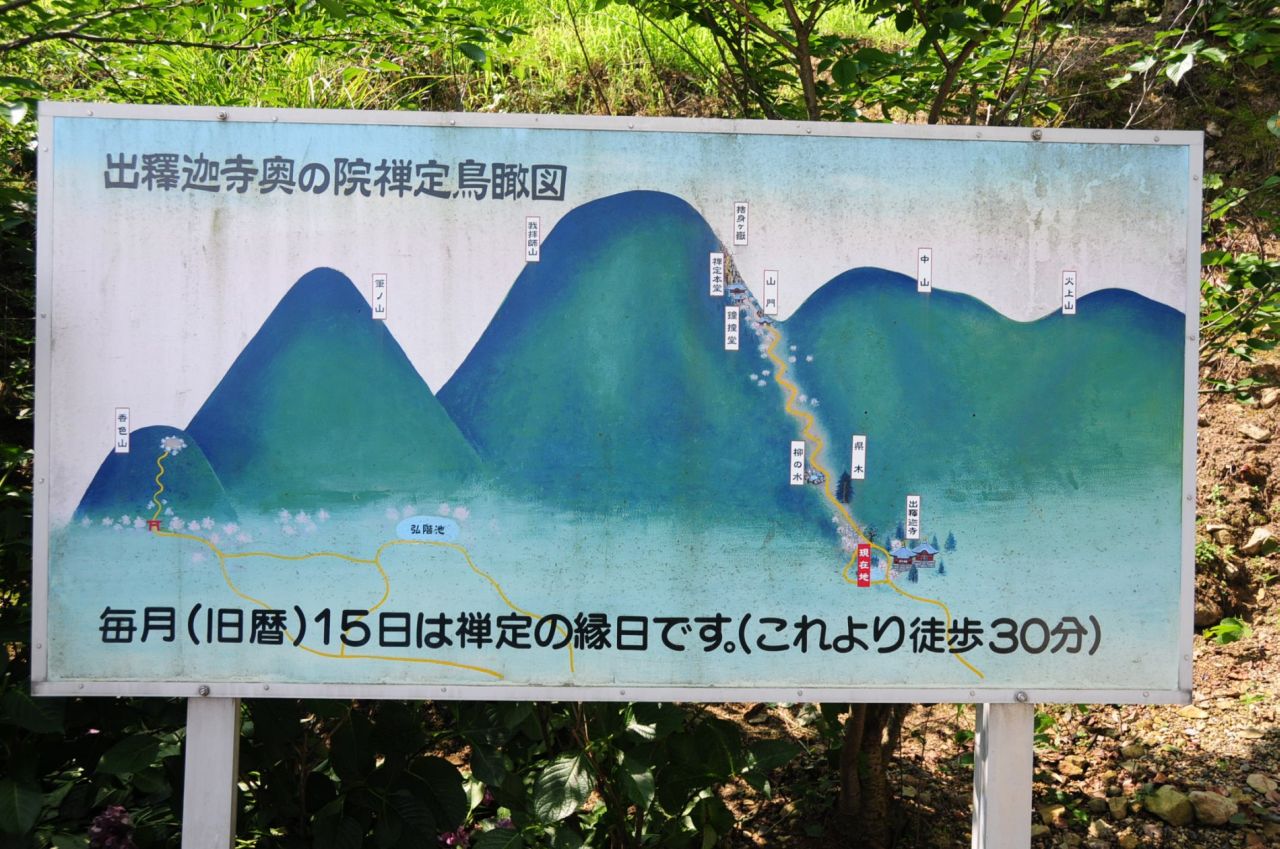 469.jpg