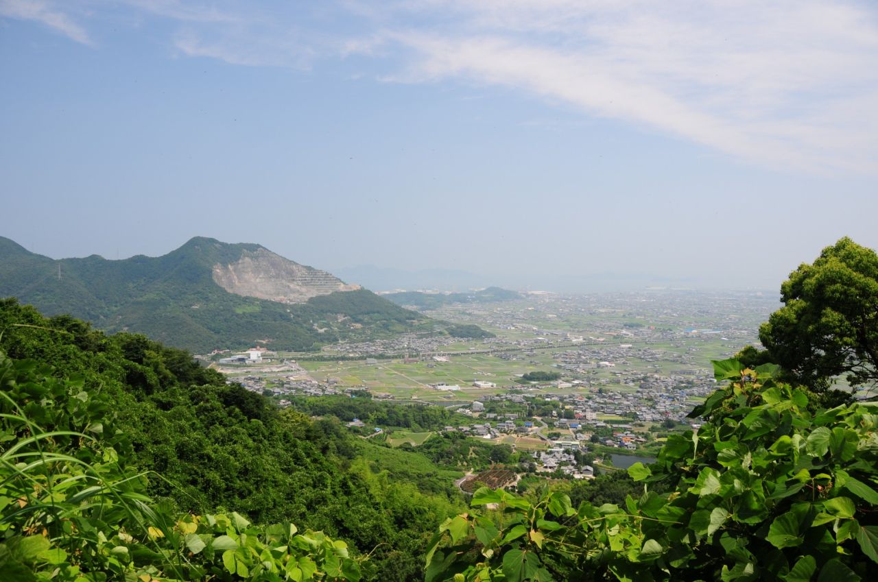 470.jpg