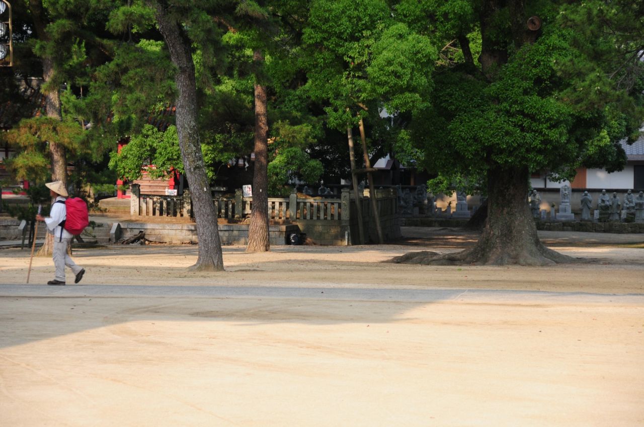 480.jpg