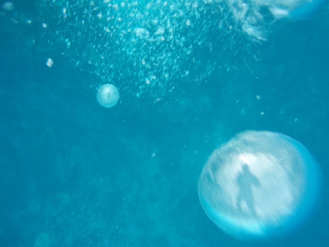 685.jpg