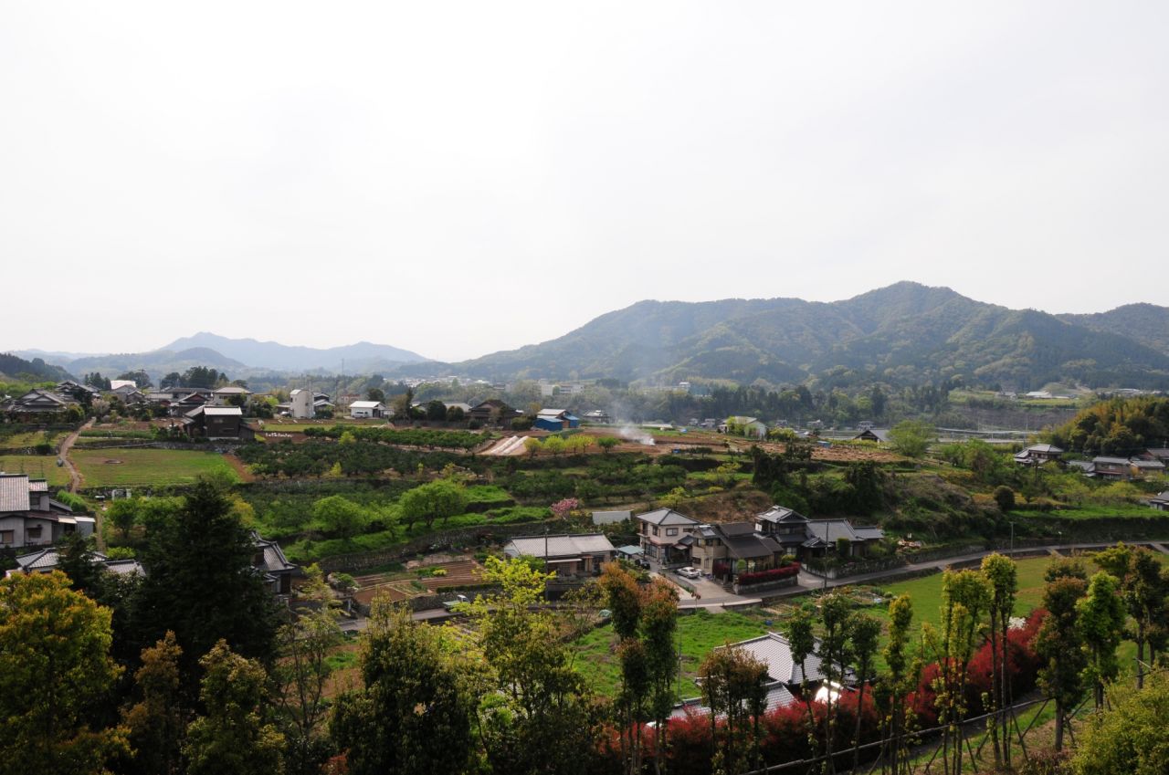 764.jpg