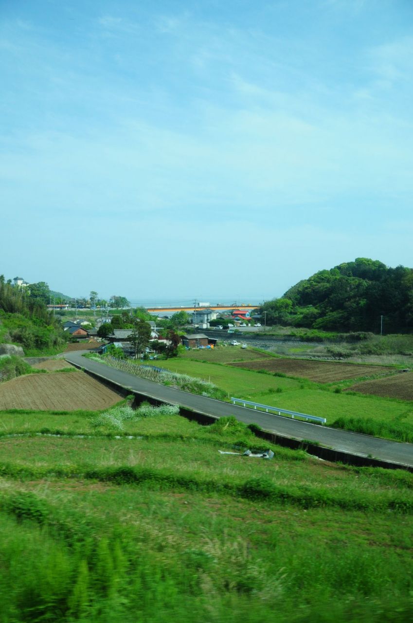 849.jpg