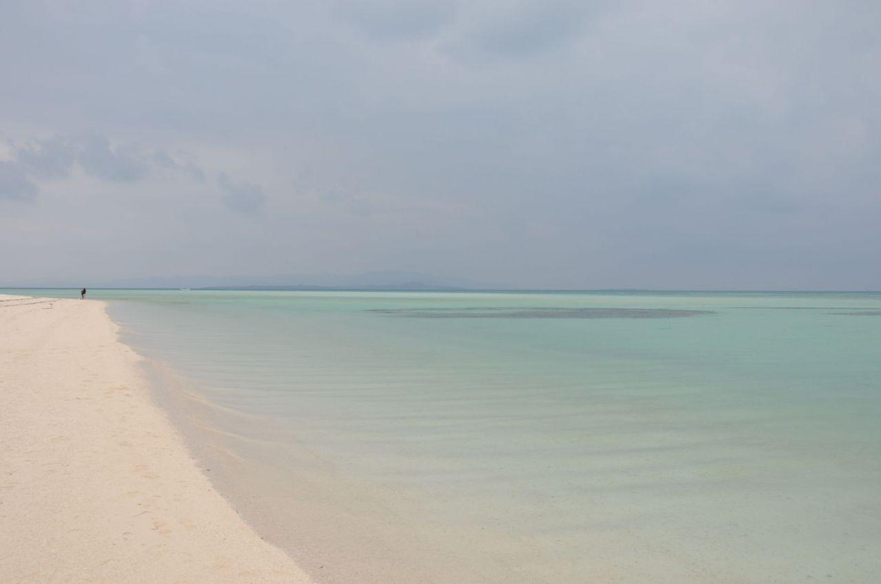 956.jpg