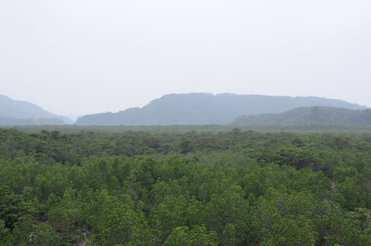 963.jpg